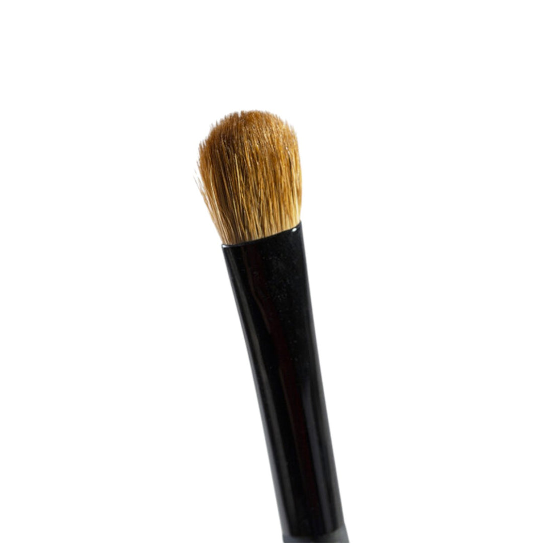 Professional Brush Eyes Large