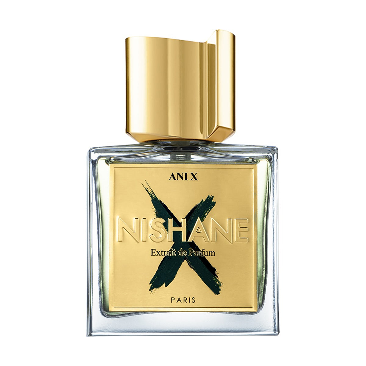 Ani X