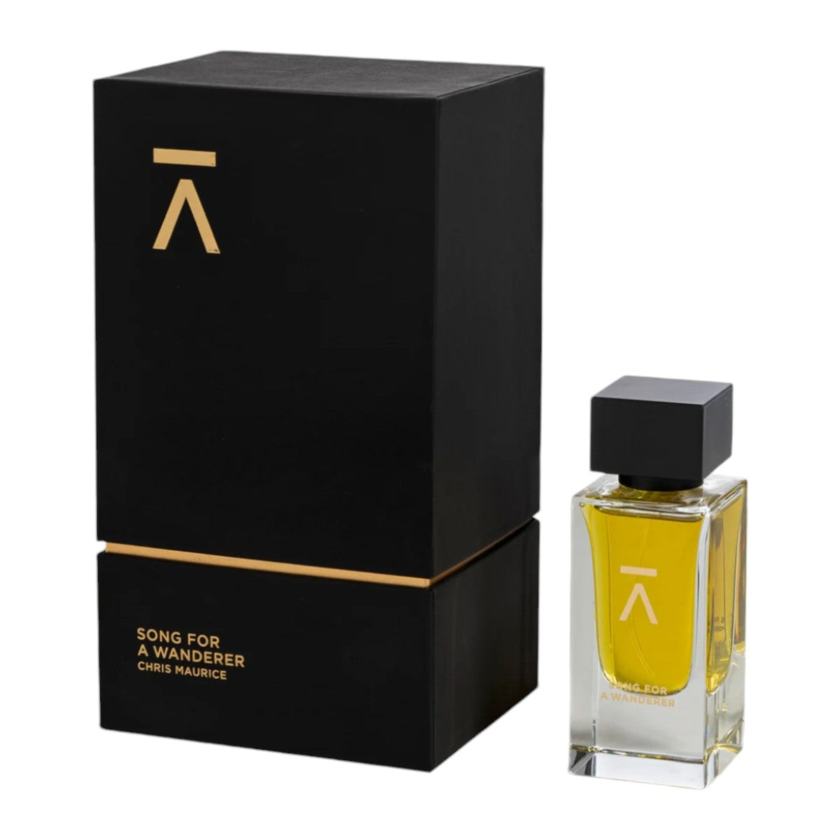 Perfumeポスター13点セット＆ポスターサイズバインダー黒 正規 品ゲーム・おもちゃ・グッズ - Perfumeポスター13点セット